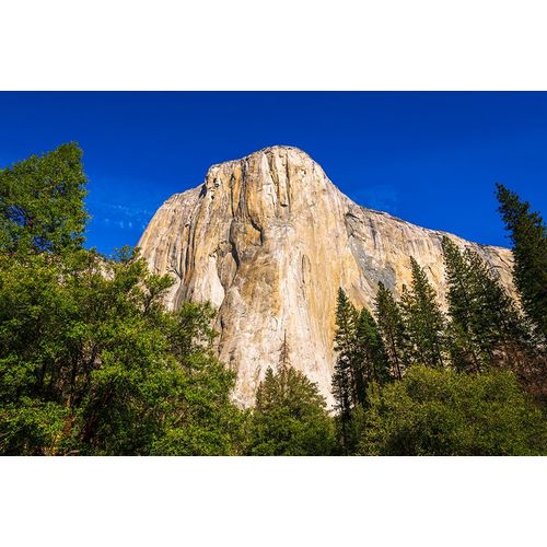Bishop, Russ 아티스트의 El Capitan-Yosemite Valley-Yosemite National Park-California-USA작품입니다.